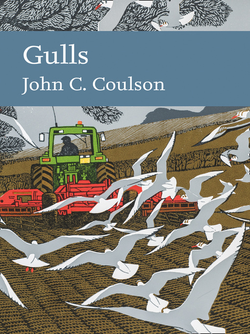 Cover image for Gulls